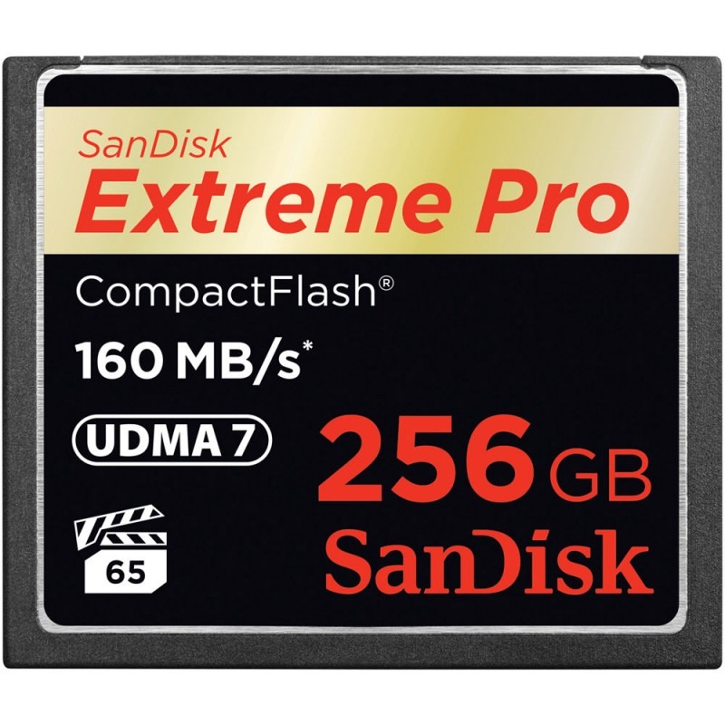 SanDisk 256GB Extreme PRO CompactFlash 160Mb/s  Memory Card